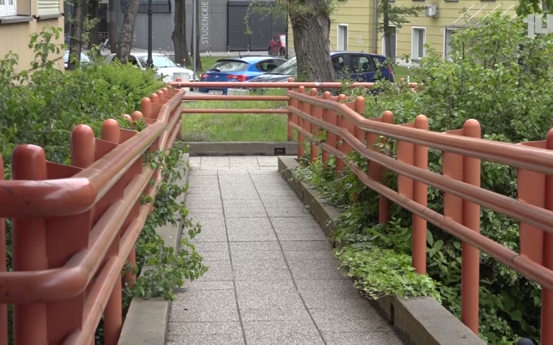 Sonda Dostosowanie UO